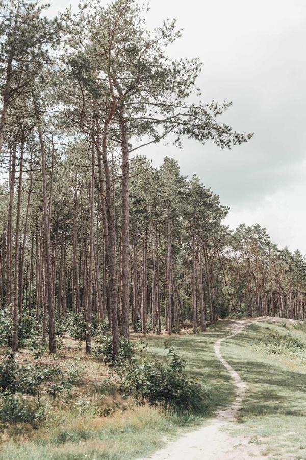 Boshuisje Op De Veluwe ヌンスペート エクステリア 写真
