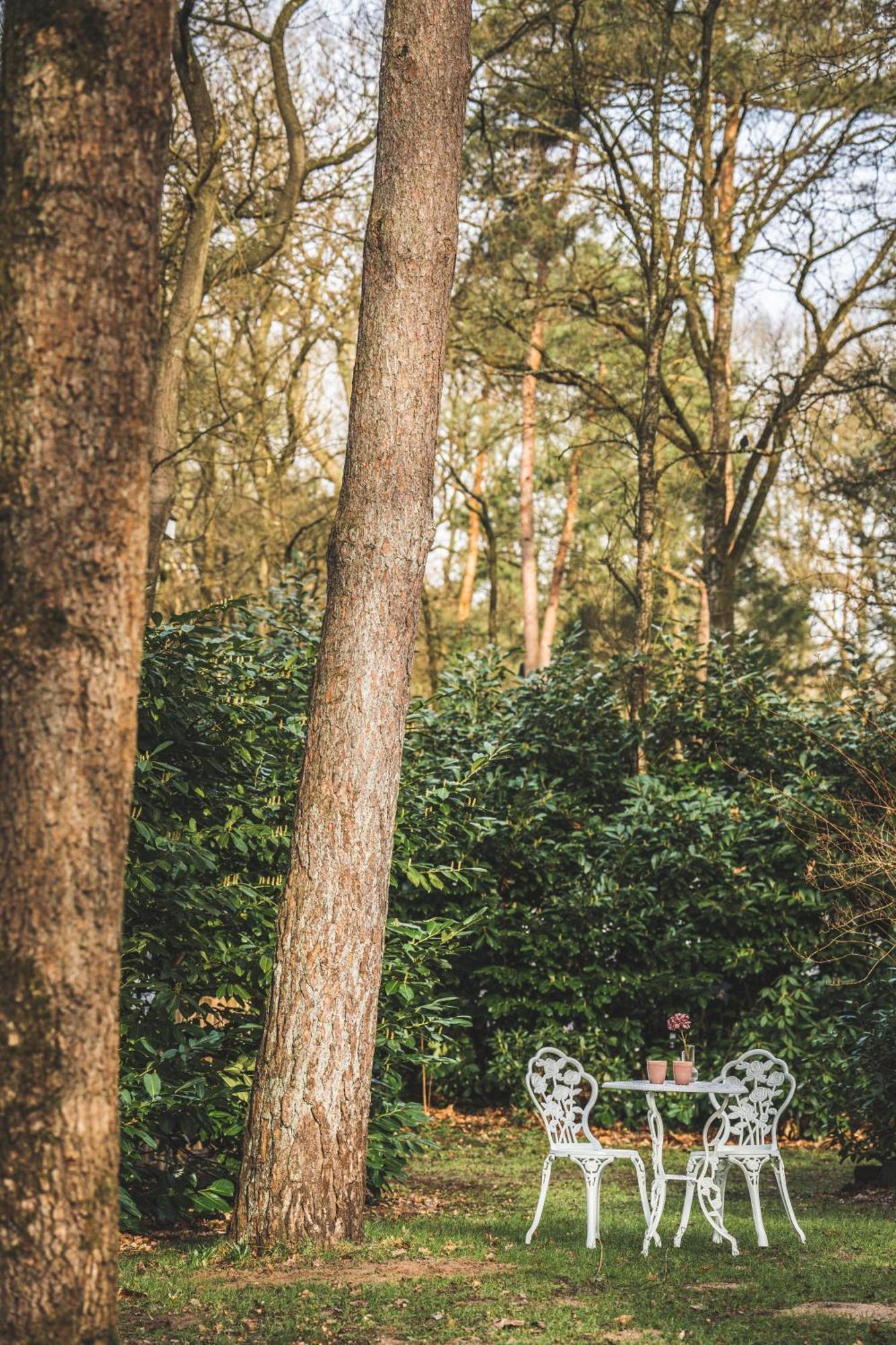 Boshuisje Op De Veluwe ヌンスペート エクステリア 写真